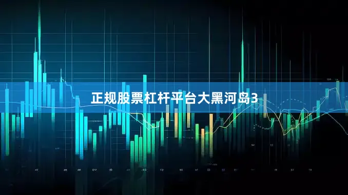 正规股票杠杆平台大黑河岛3