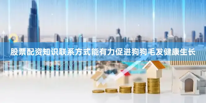 股票配资知识联系方式能有力促进狗狗毛发健康生长