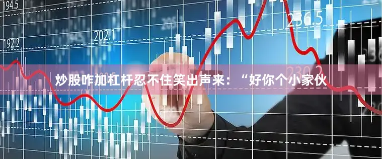 炒股咋加杠杆忍不住笑出声来：“好你个小家伙