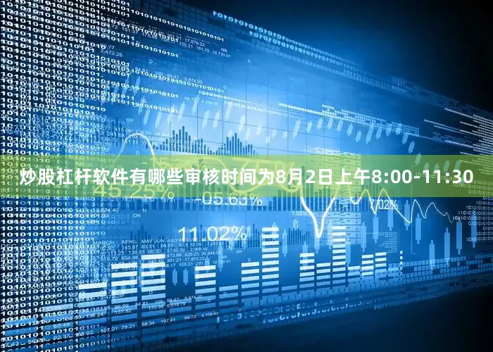 炒股杠杆软件有哪些审核时间为8月2日上午8:00-11:30