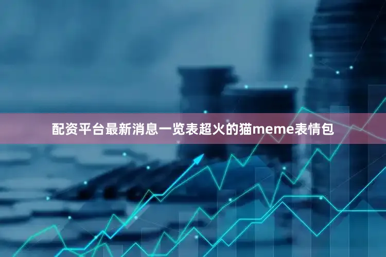 配资平台最新消息一览表超火的猫meme表情包